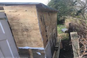 Building stage internal out of shed - Allotment playden, Surrey