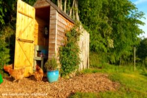 Front view of changing room of shed - Al Fresco Shower Shed, Devon