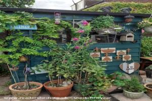 Sweet Peas of shed - Quaint and Quirky Shed, Hampshire