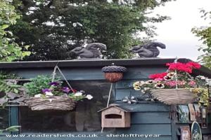 Squirrels & Acorn of shed - Quaint and Quirky Shed, Hampshire