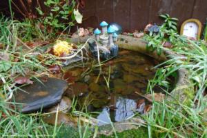 Frog's pond of shed - Ellie's Den, Northumberland