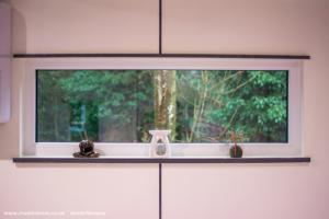 One of the panoramic windows looking out to the nature reserve of shed - The Yoga Cabin, Essex