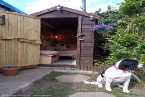 Photo 6 of shed - Adams place, South Yorkshire