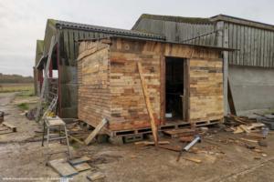 Before the creocote of shed - The Pallet Palace, Surrey