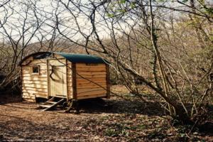 Photo 7 of shed - Loo Charm, West Sussex