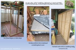 Photo 6 of shed - Handley Hedgehog Hostel, Dorset
