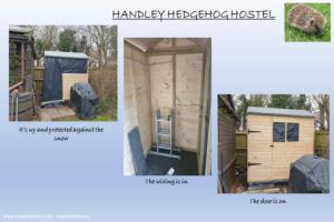 Photo 7 of shed - Handley Hedgehog Hostel, Dorset