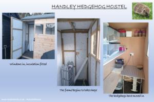 Photo 8 of shed - Handley Hedgehog Hostel, Dorset