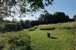 Wide field shot of shed - The loo, Devon
