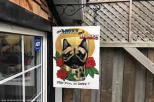 Photo 2 of shed - The Mutt & Roses, Ontario