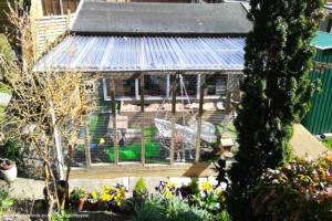 Photo 5 of shed - Forever Home for Found Ferrets, Hertfordshire