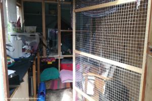 Photo 16 of shed - Forever Home for Found Ferrets, Hertfordshire