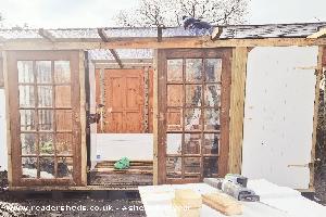 During of shed - The potting shed, Lancashire