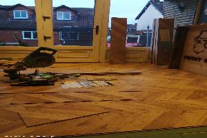 An evening laying flooring. of shed - Cheeky monkeys , Nottinghamshire