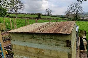 Roof in Construction of shed - Jodie, Denbighshire