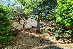 Clearing a space 'without' losing any trees & bushes of shed - The Office, Larnaca