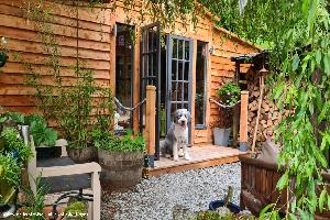 Front view of shed - The lounge , Durham