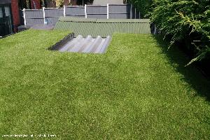 grassy roof of shed - The Webb, Cheshire West and Chester