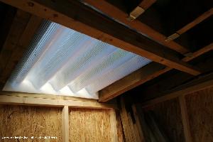 Skylight success of shed - The Webb, Cheshire West and Chester