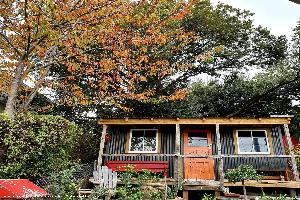 Photo 11 of shed - The Lady Lair, New Zealand