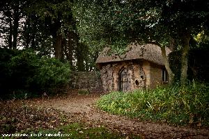 In Wooded Surroundings of shed - The Temple of Vaccinia, Gloucestershire