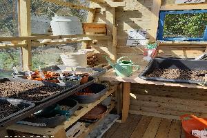 Germinating seeds of shed - Michelle's Potting Shed, Norfolk