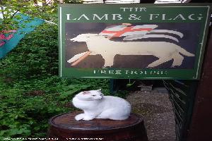Photo 30 of shed - The Lamb & Flag, Hamburg