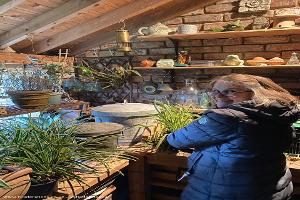 In use, potting up! of shed - The potting shed, Cheshire East