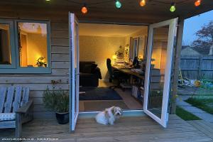 Bingo the dog, chilling in the shed of shed - Weird Wiltshire HQ, Wiltshire