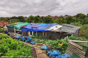 Photo 10 of shed - The Allotment Shed aka Buckingham Pallets, Tyne and Wear