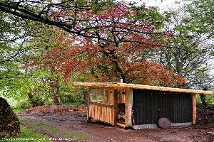 Photo 2 of shed - The Bothy @ About the Trees, Fife