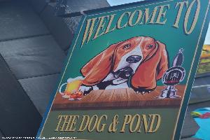 Photo 2 of shed - Dog & Pond, Merseyside