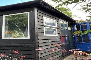 Side view of shed - Nook of Love, Greater London