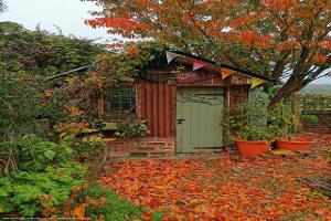  of shed - Ted's shed, Carmarthenshire