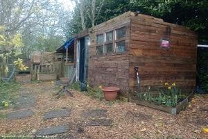 Front of shed - Allotment Hideaway , Wrexham