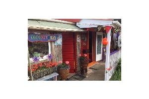 Photo 3 of shed - Coconut Bar, Staffordshire