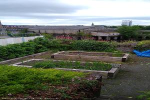 Photo 4 of shed - The shed!, Limerick
