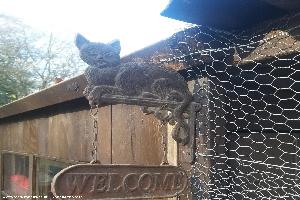 Photo 3 of shed - The cattery, Aberdeen