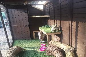 Photo 9 of shed - The cattery, Aberdeen