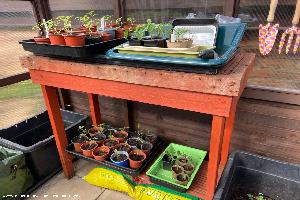 Photo 10 of shed - Tarranttino, South Ayrshire