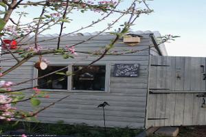 Shed exterior of shed - The Plotting Shed, Lincolnshire