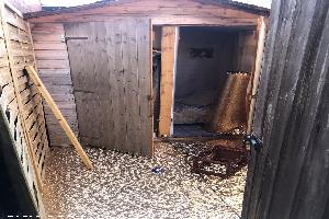 Photo 12 of shed - Bark and Howl, Antrim