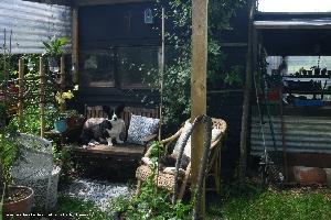 Photo 2 of shed - Mr Shed, Norfolk