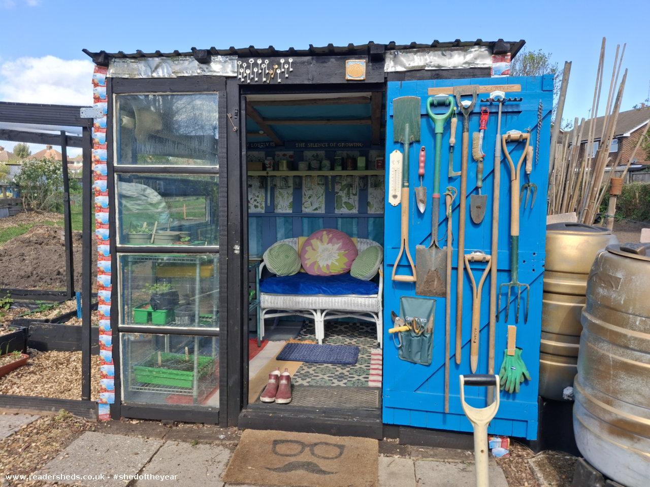 VEG SHED - Stacy Player  - Allotment 