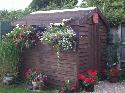  of shed - FLOWER POWER, 