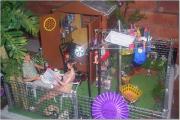 Mini Shed, Queensland