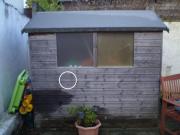 of shed - , 
