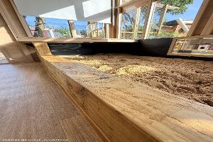 Dun Layin’ Retreat: Interior 3
