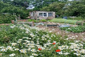 Rhubarb House, Hertfordshire