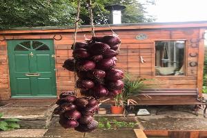 The Cabin: inside